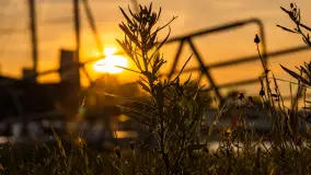 Zachód słońca, port 110, Iława - zdjęcie 17