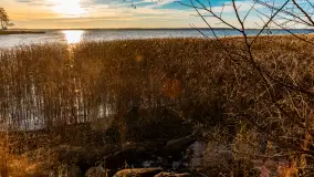 Słoneczny, późno jesienny dzień nad Niegocinem, grudzień 2024 r. - zdjęcie 25