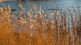 Słoneczny, późno jesienny dzień nad Niegocinem, grudzień 2024 r. - zdjęcie 15