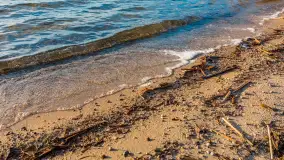 Słoneczny, późno jesienny dzień nad Niegocinem, grudzień 2024 r. - zdjęcie 18