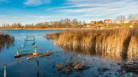 Słoneczny, późno jesienny dzień nad Niegocinem, grudzień 2024 r. - zdjęcie 17