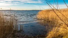 Słoneczny, późno jesienny dzień nad Niegocinem, grudzień 2024 r. - zdjęcie 24