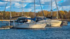 Łabędzi Ostrów w Pięknej Górze w jesiennych barwach - zdjęcie 14