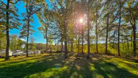 Łabędzi Ostrów w Pięknej Górze w połowie października 2024 - zdjęcie 8