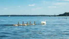 Mazurska aktywność na wodzie, Wioska Surfów, sierpień 2024 r. - zdjęcie 22