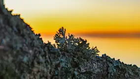 Wschód słońca nad jeziorem Dargin, most Sztynorcki, grudzień 2024 r. - zdjęcie 44