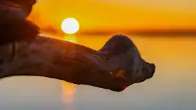 Wschód słońca nad jeziorem Dargin, most Sztynorcki, grudzień 2024 r. - zdjęcie 38