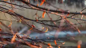 Wschód słońca nad jeziorem Dargin, most Sztynorcki, grudzień 2024 r. - zdjęcie 28