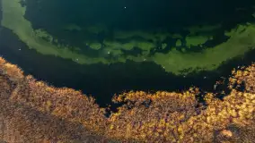 Wschód słońca nad jeziorem Dargin, most Sztynorcki, grudzień 2024 r. - zdjęcie 29