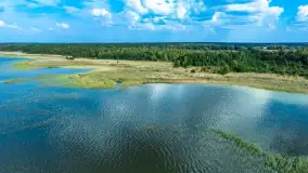 Kanał Jegliński z drona, wrzesień 2024 r. - zdjęcie 34