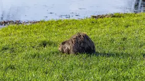 Mix mazurskich ujęć z szuflady, 2024 cz. II - zdjęcie 46