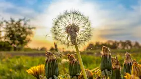 Mix mazurskich ujęć z szuflady, 2024 cz. II - zdjęcie 27