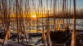 Zachód słońca nad jeziorem Tajty, styczeń 2025 r. - zdjęcie 7