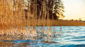 Zachód słońca nad jeziorem Tajty, styczeń 2025 r. - zdjęcie 22