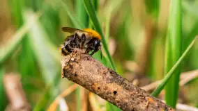 Mix mazurskich ujęć z szuflady, 2024 cz. III - zdjęcie 10