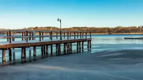 Łabędzi Ostrów w Pięknej Górze w zimowej aurze, styczeń 2025 r. - zdjęcie 20