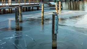 Łabędzi Ostrów w Pięknej Górze w zimowej aurze, styczeń 2025 r. - zdjęcie 32