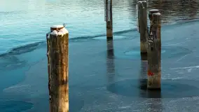 Łabędzi Ostrów w Pięknej Górze w zimowej aurze, styczeń 2025 r. - zdjęcie 39