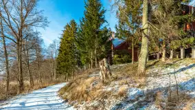 Łabędzi Ostrów w Pięknej Górze w zimowej aurze, styczeń 2025 r. - zdjęcie 8