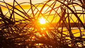 Wschód słońca nad jeziorem Święcajty w Kolonii Rybackiej - zdjęcie 12