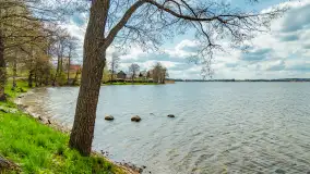 Jezioro Gawlik na początku później wiosny, maj 2021 r. - zdjęcie 25