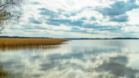 Jezioro Gawlik na początku później wiosny, maj 2021 r. - zdjęcie 17