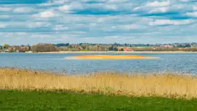 Jezioro Gawlik na początku później wiosny, maj 2021 r. - zdjęcie 13