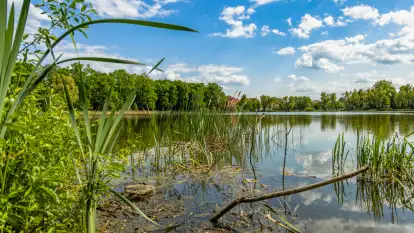 Wiosna w Kętrzynie, maj 2021 r.