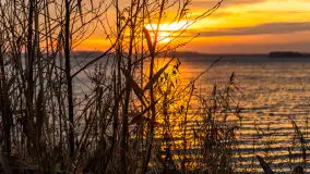 Zachód słońca nad jeziorem Dargin, styczeń 2025 r. - zdjęcie 25