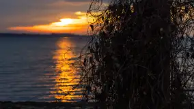 Zachód słońca nad jeziorem Dargin, styczeń 2025 r. - zdjęcie 31