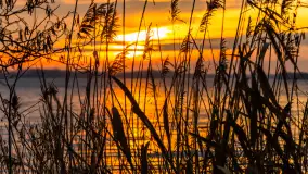 Zachód słońca nad jeziorem Dargin, styczeń 2025 r. - zdjęcie 4