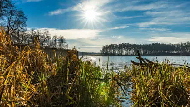 Kanał Kula i mazurska zima... bez śniegu, styczeń 2025 r. - zdjęcie 9