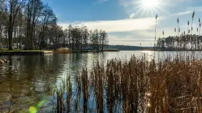 Kanał Kula i mazurska zima... bez śniegu, styczeń 2025 r. - zdjęcie 13