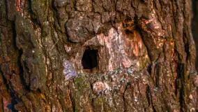 Zachód słońca nad jeziorem Okrągłym, luty 2025 r. - zdjęcie 24