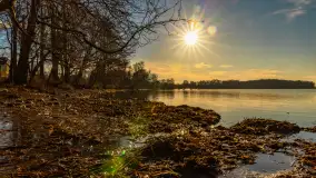 Popołudnie nad jeziorem Kisajno przy Pierkunowie, styczeń 2025 r. - zdjęcie 13