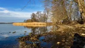 Popołudnie nad jeziorem Kisajno przy Pierkunowie, styczeń 2025 r. - zdjęcie 7