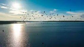 Popołudnie nad jeziorem Kisajno przy Pierkunowie, styczeń 2025 r. - zdjęcie 27