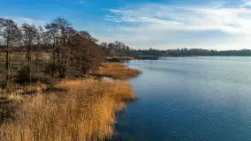 Popołudnie nad jeziorem Kisajno przy Pierkunowie, styczeń 2025 r. - zdjęcie 21