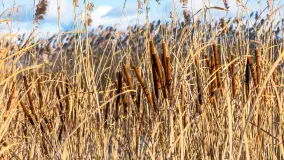 Niedzielne, zimowe popołudnie w Wilkasach nad Niegocinem, luty 2025 r. - zdjęcie 17