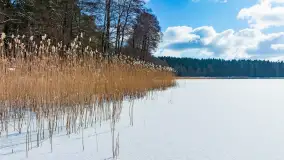Zatoka Mrówki i jezioro Ryńkie w zimowej odsłonie, luty 2024 r. - zdjęcie 11