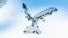 Zatoka Mrówki i jezioro Ryńkie w zimowej odsłonie, luty 2024 r. - zdjęcie 4