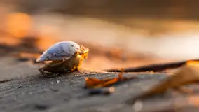 Zachód słońca nad jeziorem Tałty, luty 2025 r. - zdjęcie 12