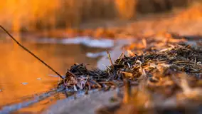 Zachód słońca nad jeziorem Tałty, luty 2025 r. - zdjęcie 15