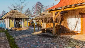 Tło dla mew w okowach zimy... ale bez śniegu, styczeń 2025 r. - zdjęcie 23