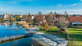 Tło dla mew w okowach zimy... ale bez śniegu, styczeń 2025 r. - zdjęcie 7