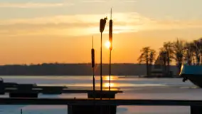 Zachód słońca nad zatoką Tracz, jezioro Kisajno, Giżycko - zdjęcie 5