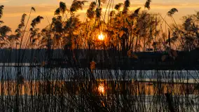 Zachód słońca nad zatoką Tracz, jezioro Kisajno, Giżycko - zdjęcie 4