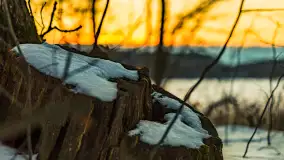 Zachód słońca nad jeziorem Kisajno, Piękna Góra, luty 2025 r. - zdjęcie 15