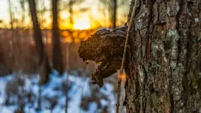 Zachód słońca nad jeziorem Kisajno, Piękna Góra, luty 2025 r. - zdjęcie 17