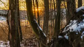 Zachód słońca nad jeziorem Kisajno, Piękna Góra, luty 2025 r. - zdjęcie 4